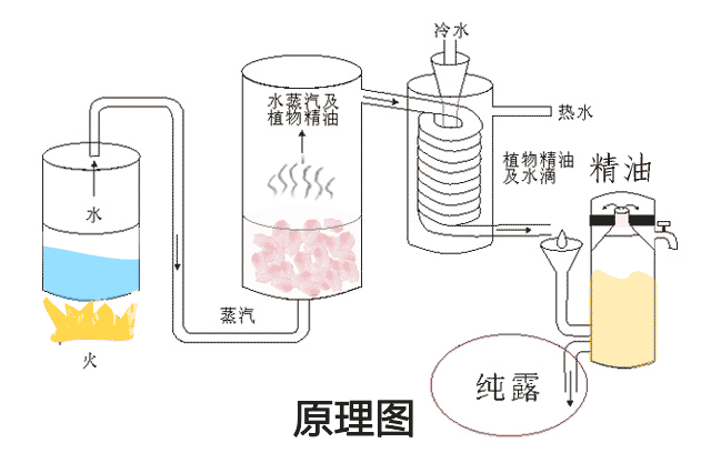 化妝品廠家